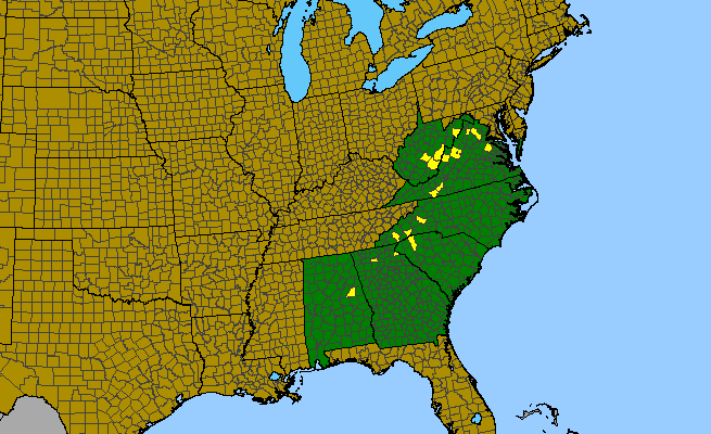 The range of Stachys eplingii